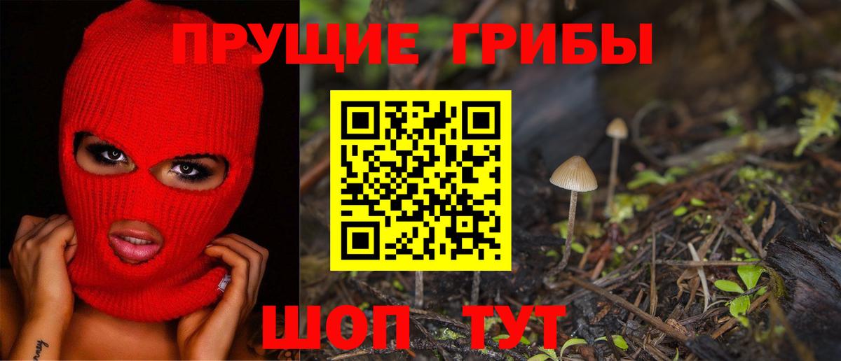 Галлюциногенные грибы Cubensis  где купить наркоту  Псилоцибиновые грибы мицелий  Кимры  Вход с VPN 